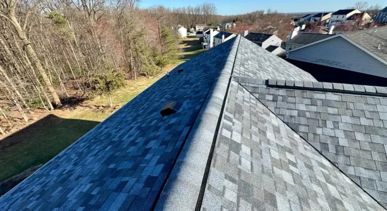 Can Roof Leaks Cause Mold