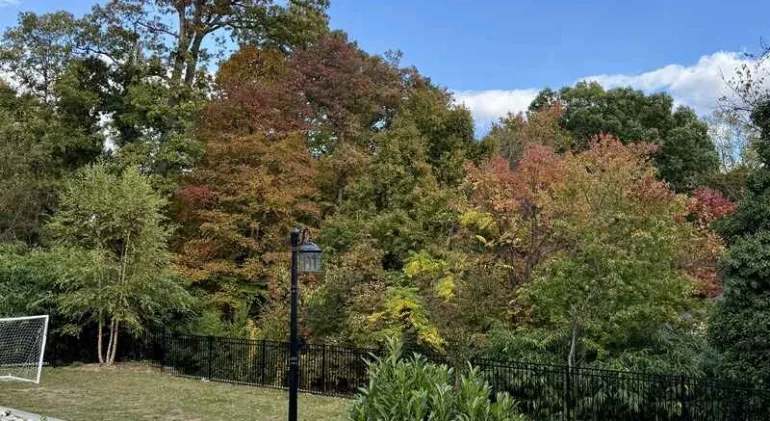 Metal roof installation in Silver Spring Maryland