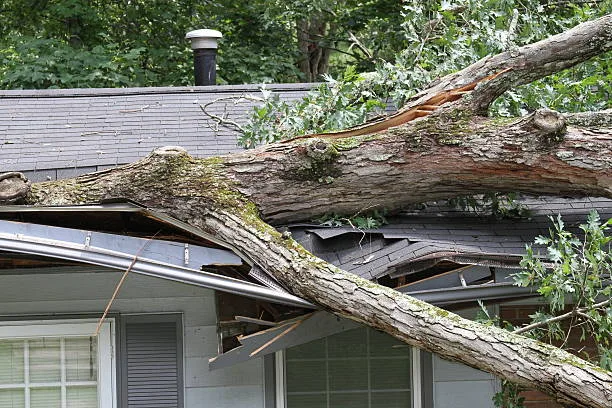 Roof damage inspection