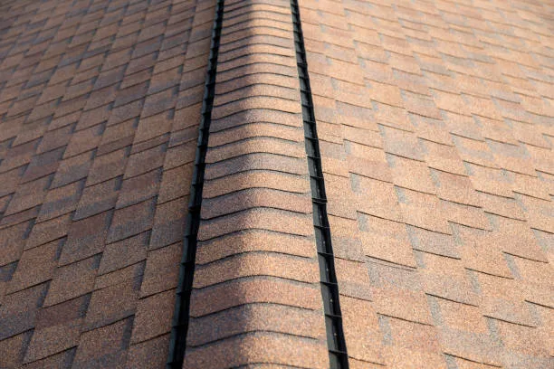 Roof ventilation system